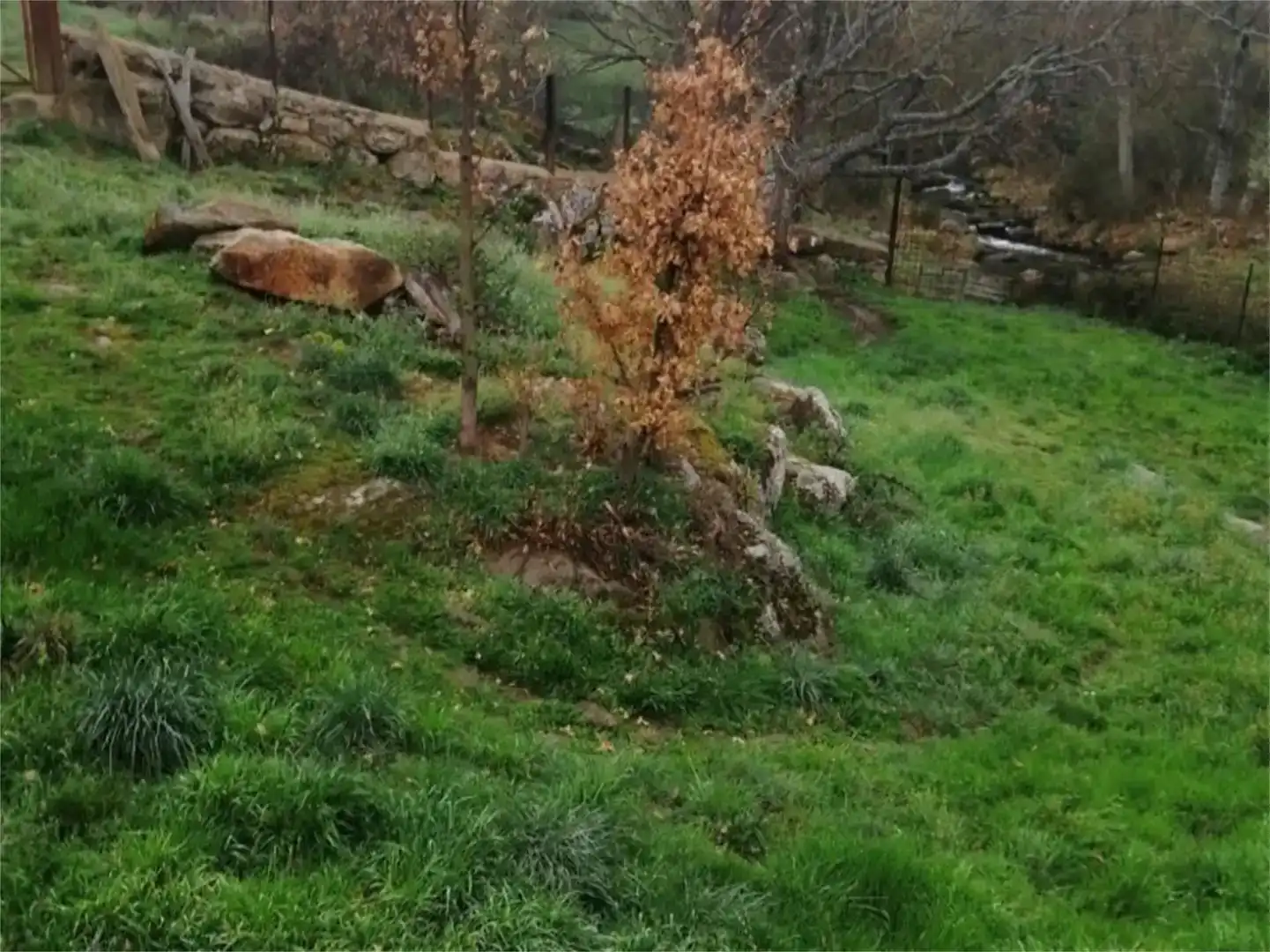 Jardín de Finca rústica en venta en Becedas con Jardín privado
