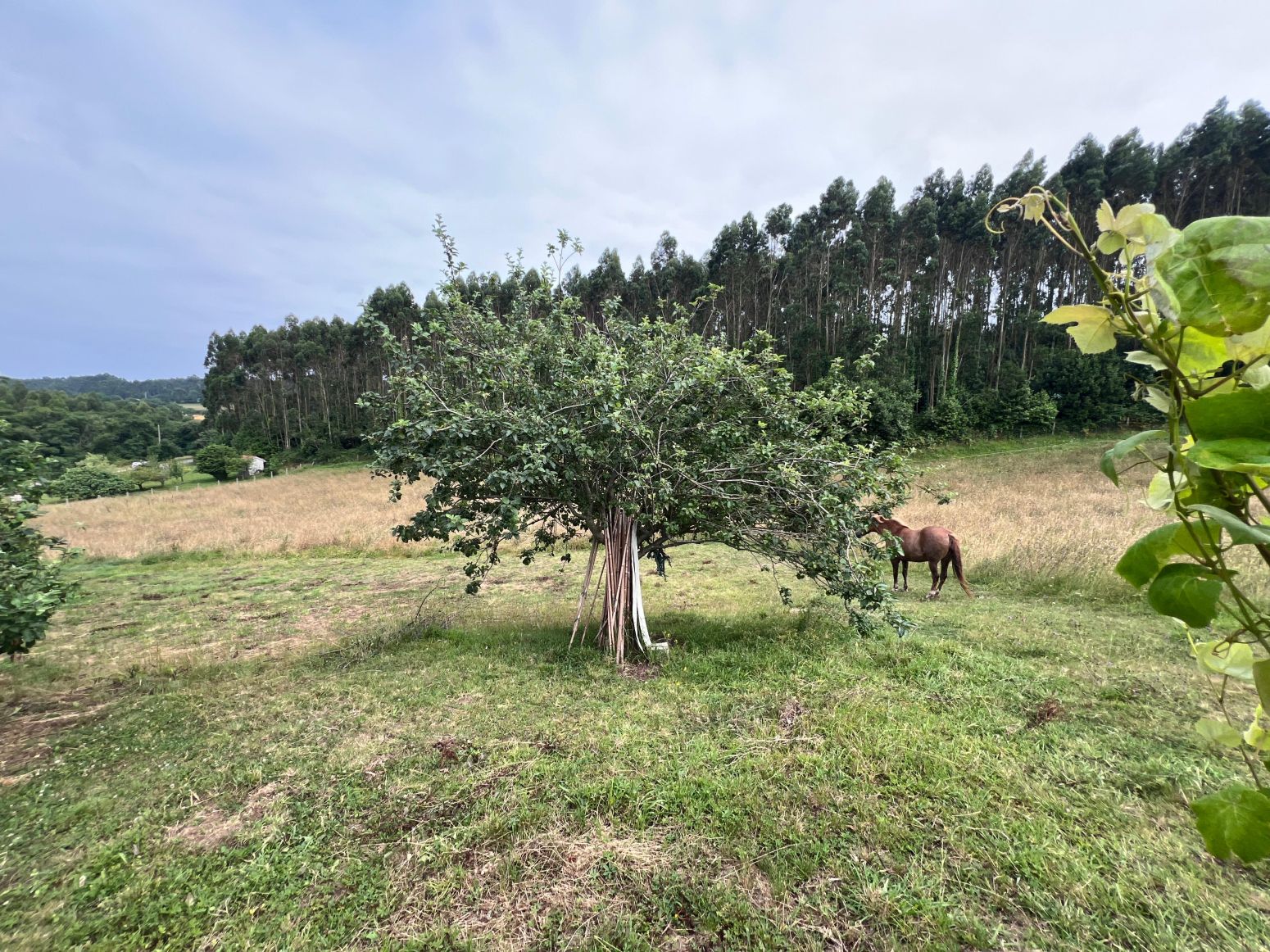 Casa o xalet en venda en Gozón amb Calefacció, Jardí privat i Terrassa