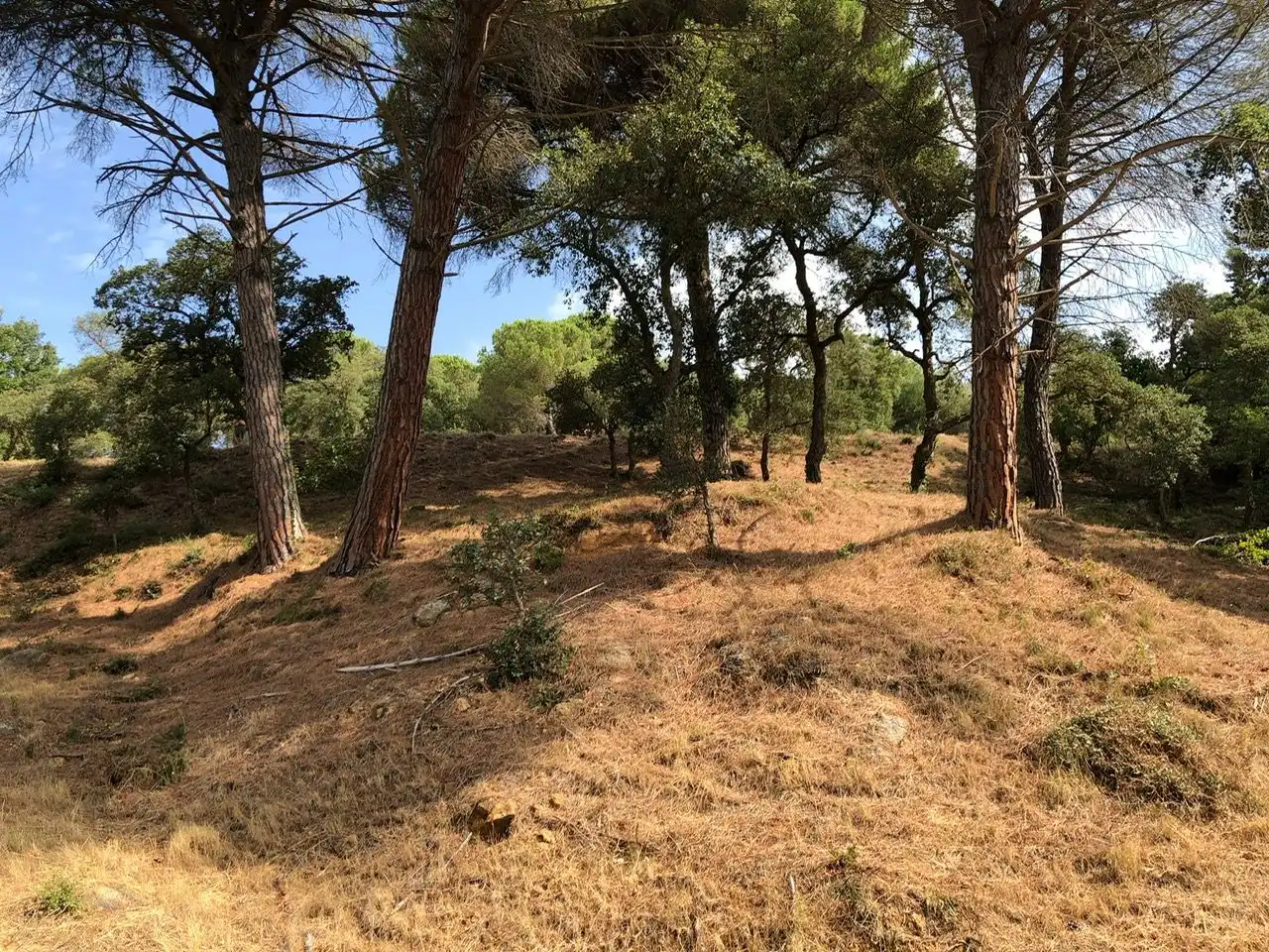 Residencial en venta en Carrer Muntanya, Niàgara Parc - Ágora Parc