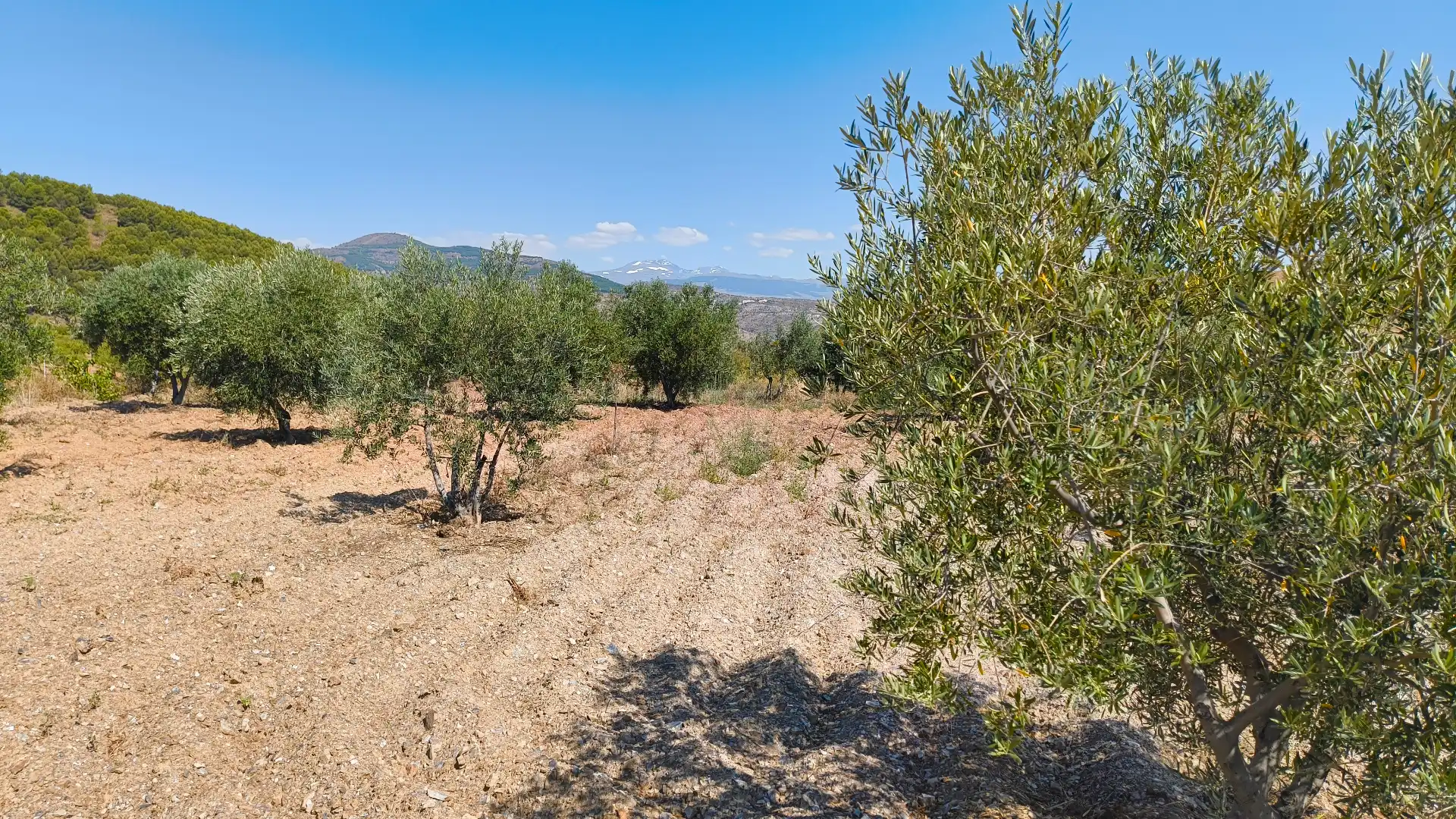 Finca rústica en venda en Turón amb Jardí privat