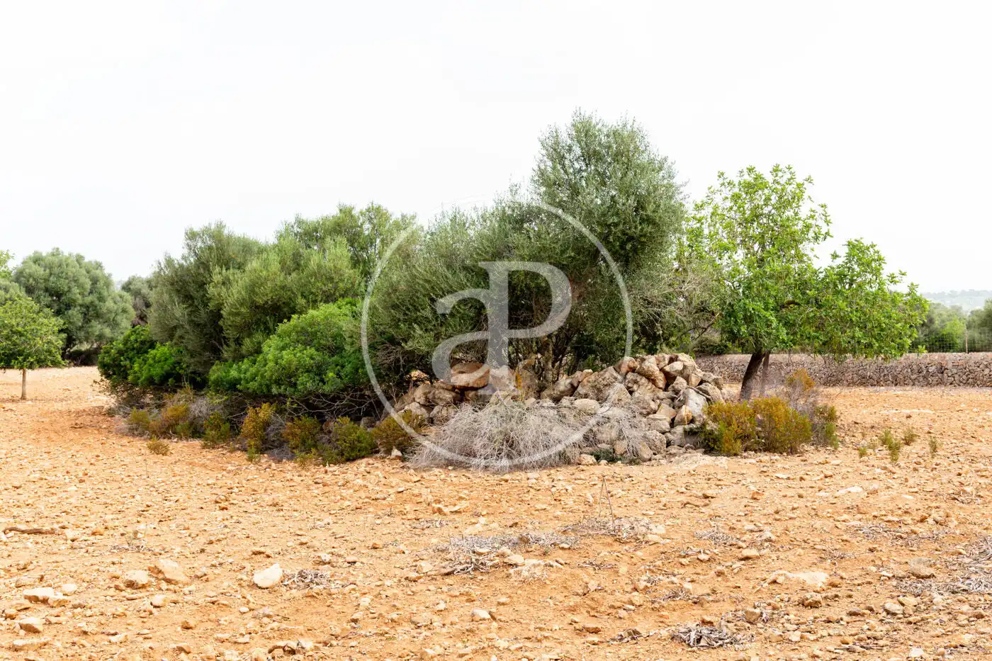 Residencial en venta en Manacor