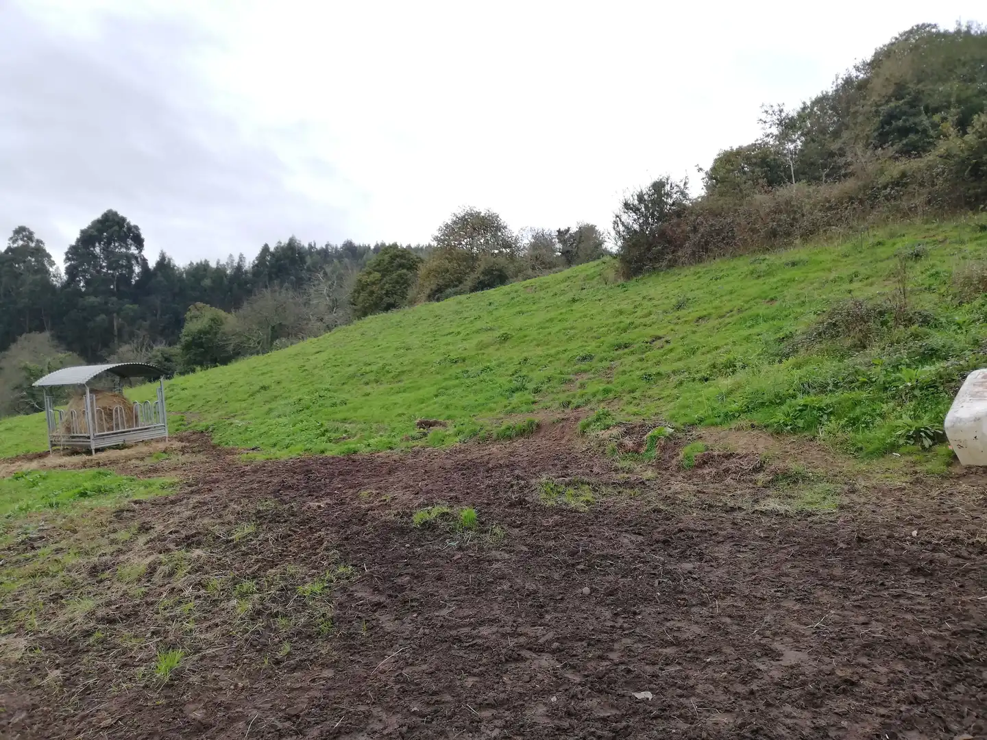 Lands and plots for sale in Villalegre - La Luz, imagen 2