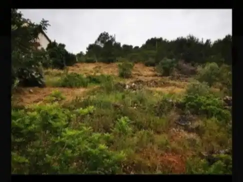 Terreno rustico in vendita a Carrer de l'Ametller 52, imagen 6