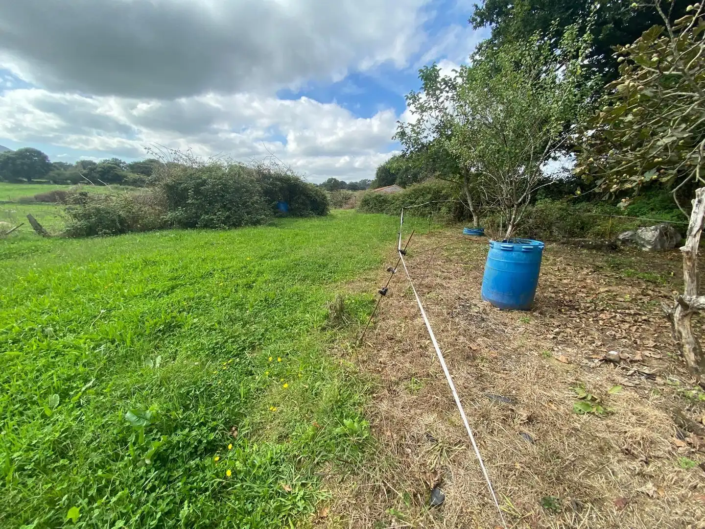 Finca rústica en venta en Argoños