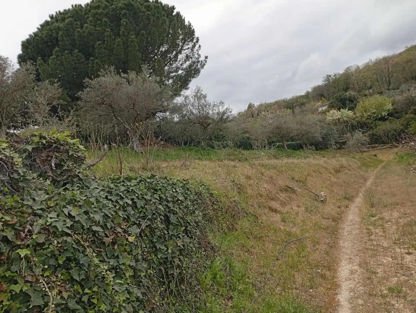 Terreni e lotti in vendita a Villanueva de la Vera, imagen 55
