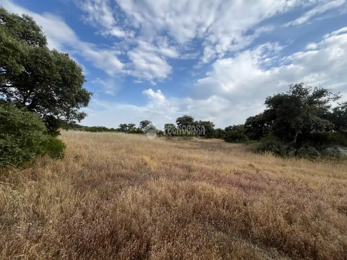 Terreno en venta en Santa Ana de Pusa