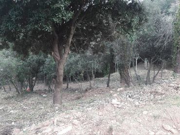 Terreno residenziale in vendita a Matadepera