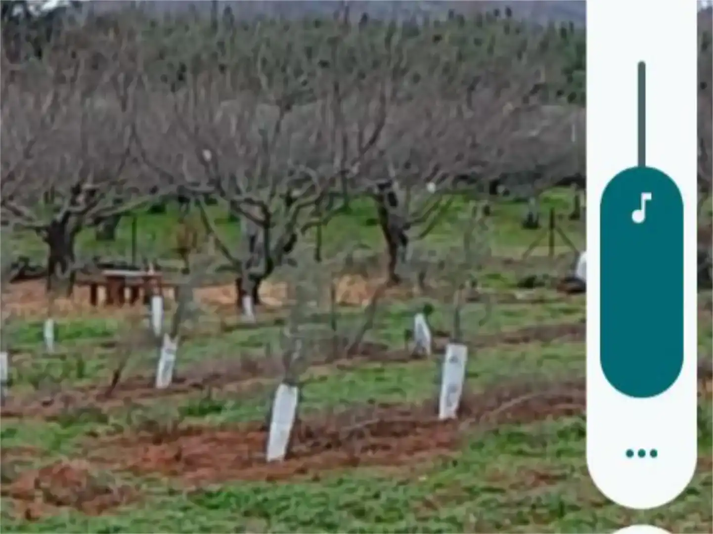 Finca rústica en venda en Torre de Don Miguel