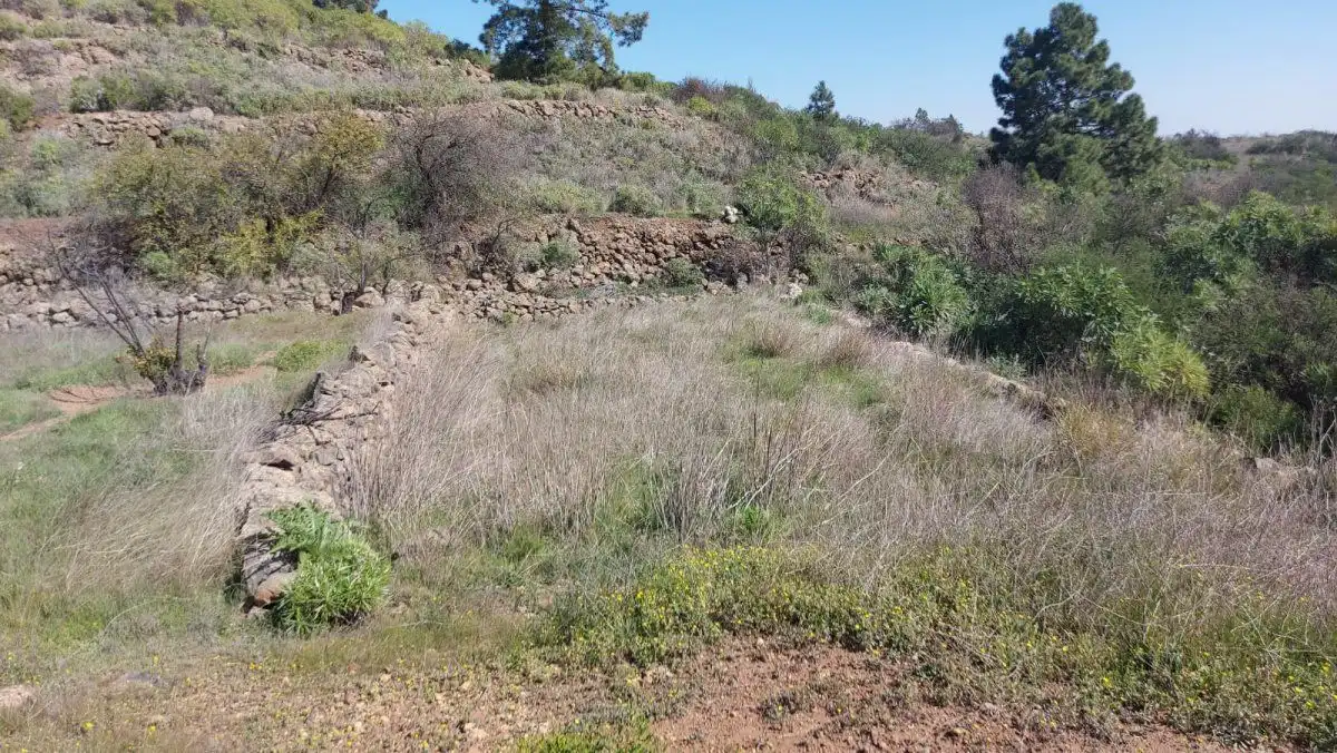 Terreno residencial en venta en Vilaflor de Chasna, imagen 20