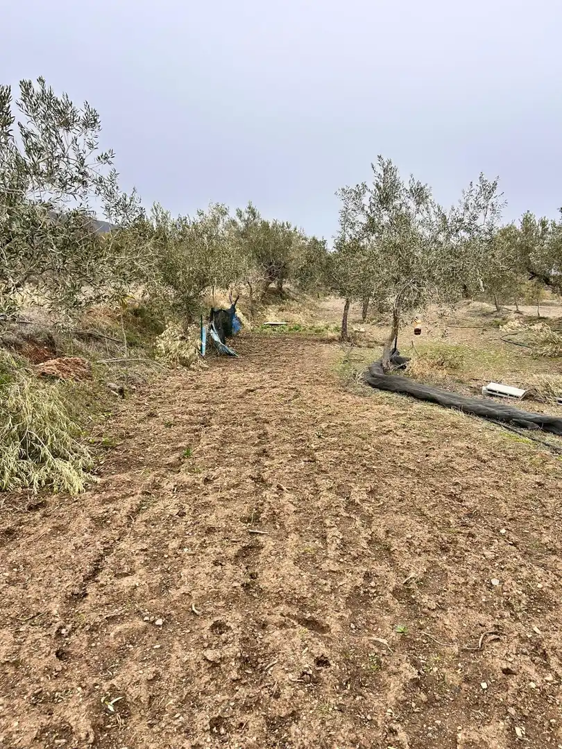 Finca rústica en venda en Abrucena