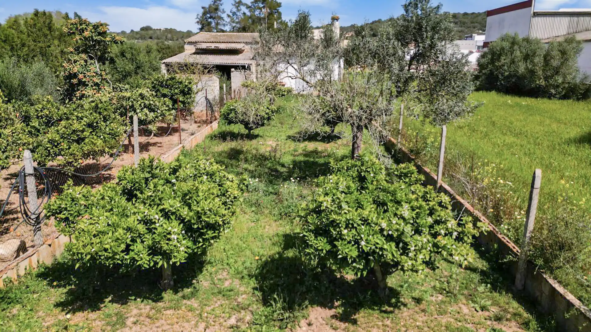 Jardín de Finca rústica en venta en Felanitx con Calefacción, Terraza y Trastero