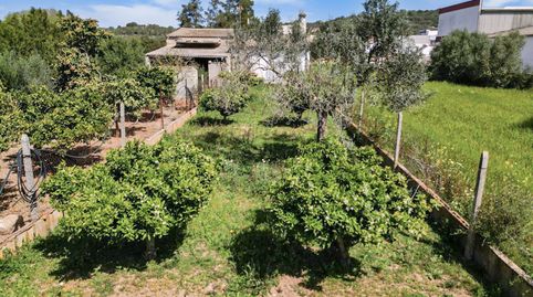 Foto 3 de Finca rústica en venta en Felanitx Poble, Felanitx