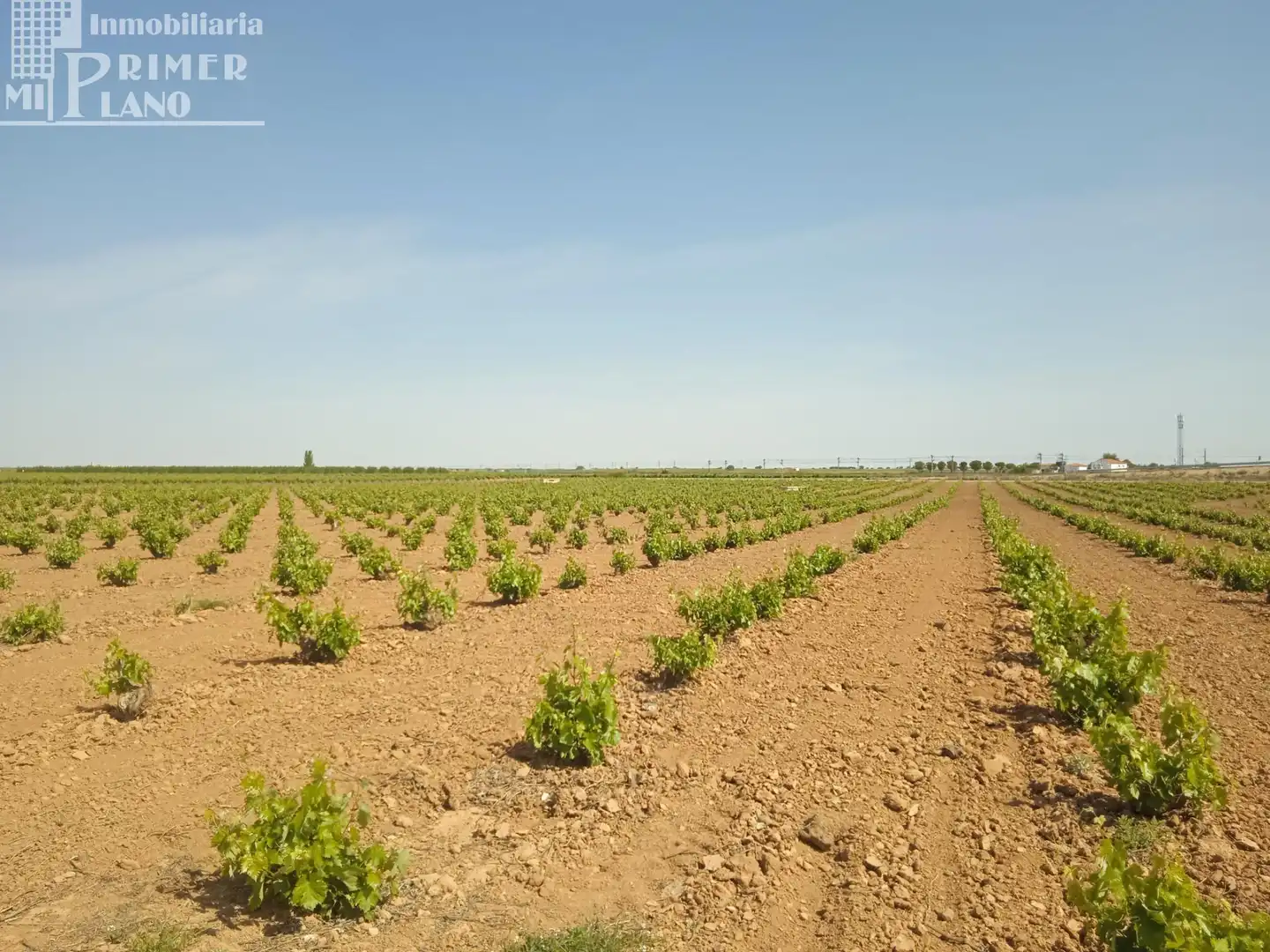 Terrenos y solares en venta en Socuéllamos, imagen 4
