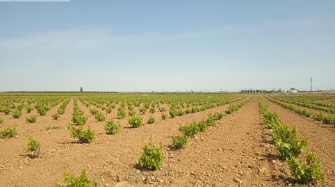 Photo 4 of Residential for sale in Socuéllamos, Ciudad Real