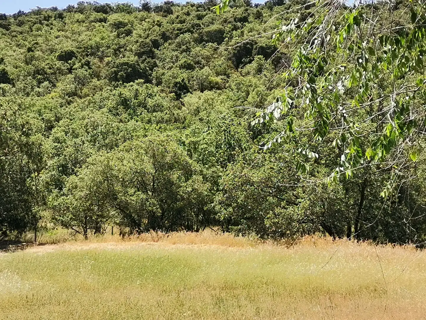 Terrain résidentiel à vendre à Uceda, imagen 3