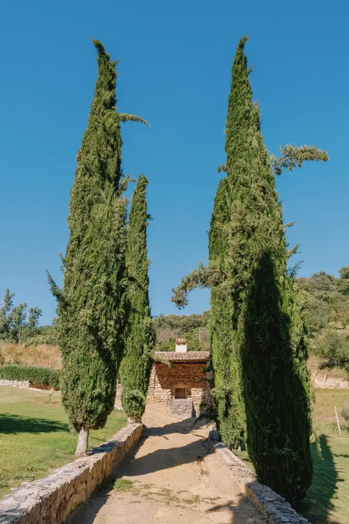 Vista exterior de Finca rústica en venta en Setenil de las Bodegas
