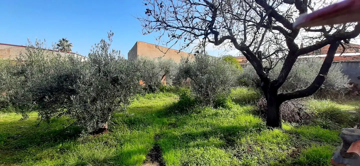 Casa o chalet en venta en Cariñena con Calefacción, Jardín privado y Trastero