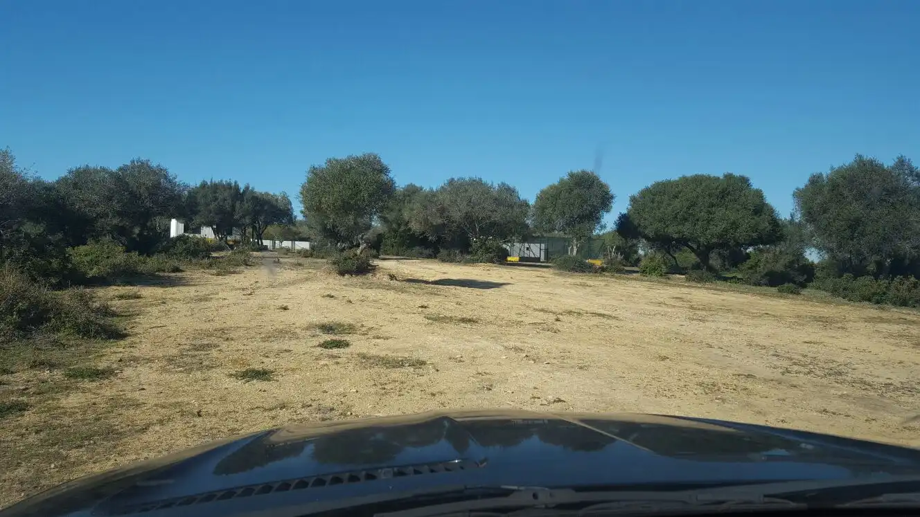 Rural land for sale in Carretera Sevilla Utrera, imagen 2
