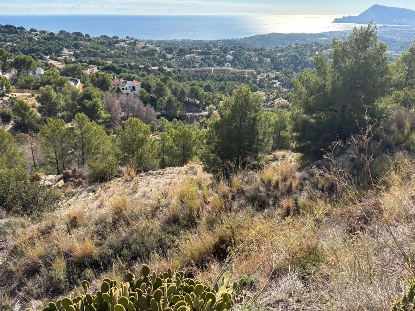 Terrain résidentiel à vendre à Carrer la Llebre 52, imagen 13
