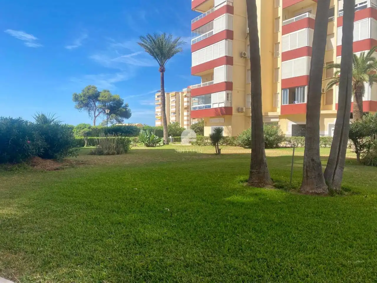 Estudio de alquiler en Avenida García Peñalver, Centro Internacional