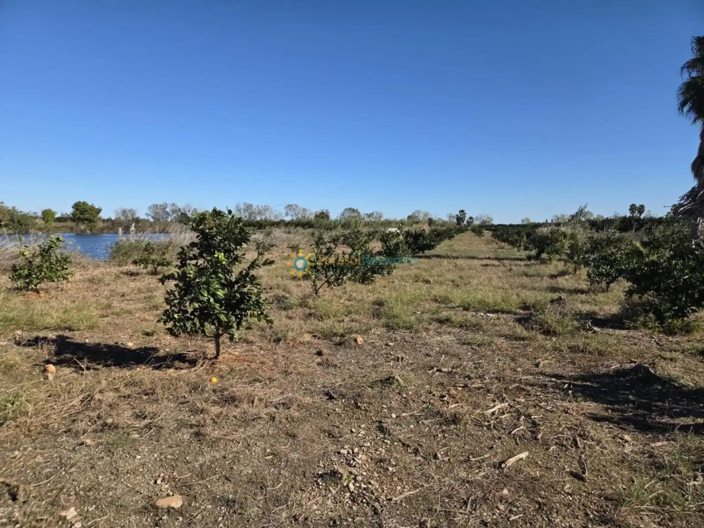 Finca rústica en venta en Xeraco con Jardín privado y Terraza
