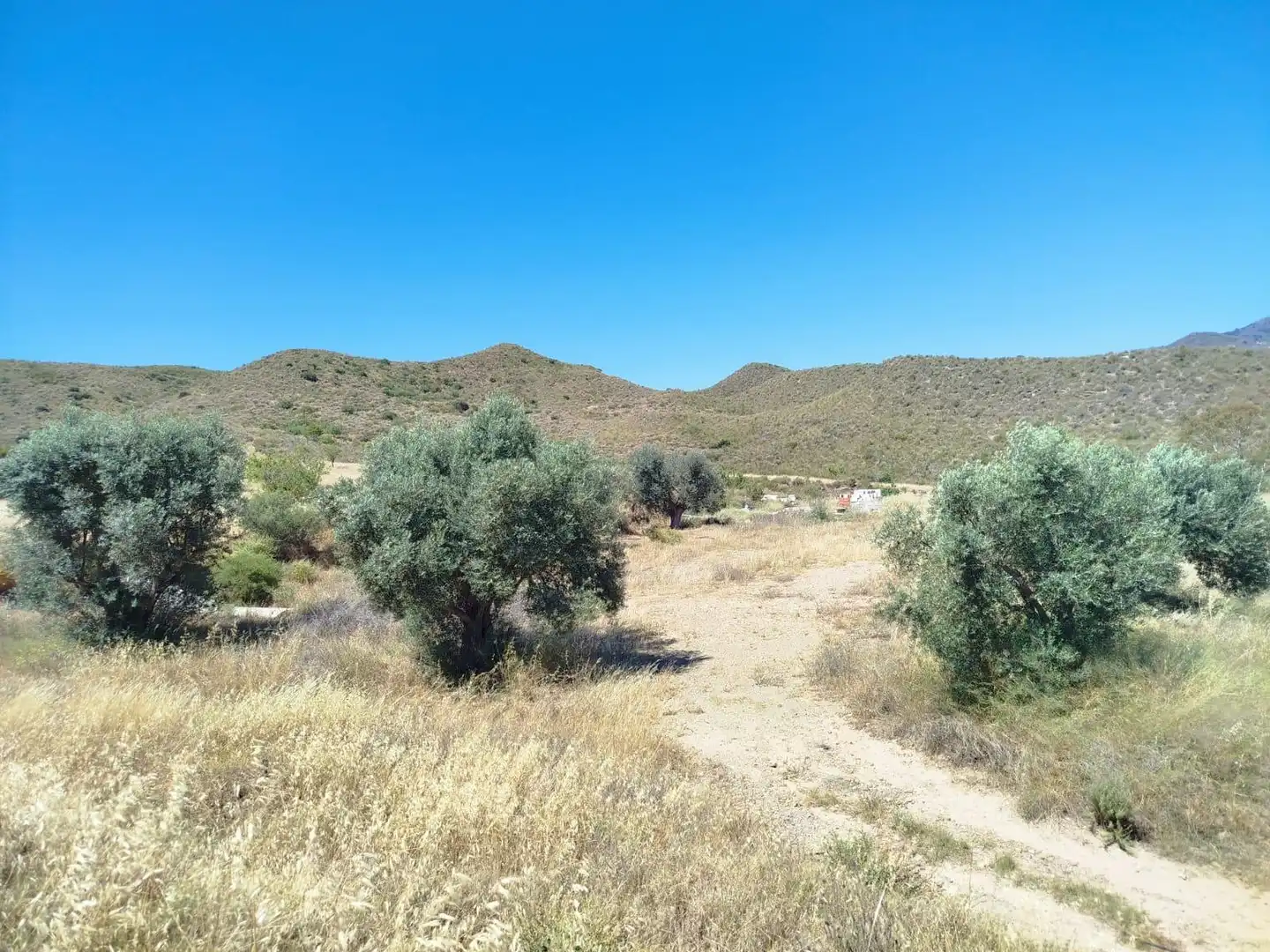 Terrenys i solars en venda a Mazarrón Casco Urbano, imagen 14