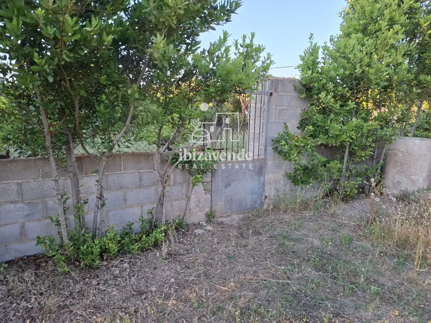 Terreny rústic en venda a San Antoni, imagen 12