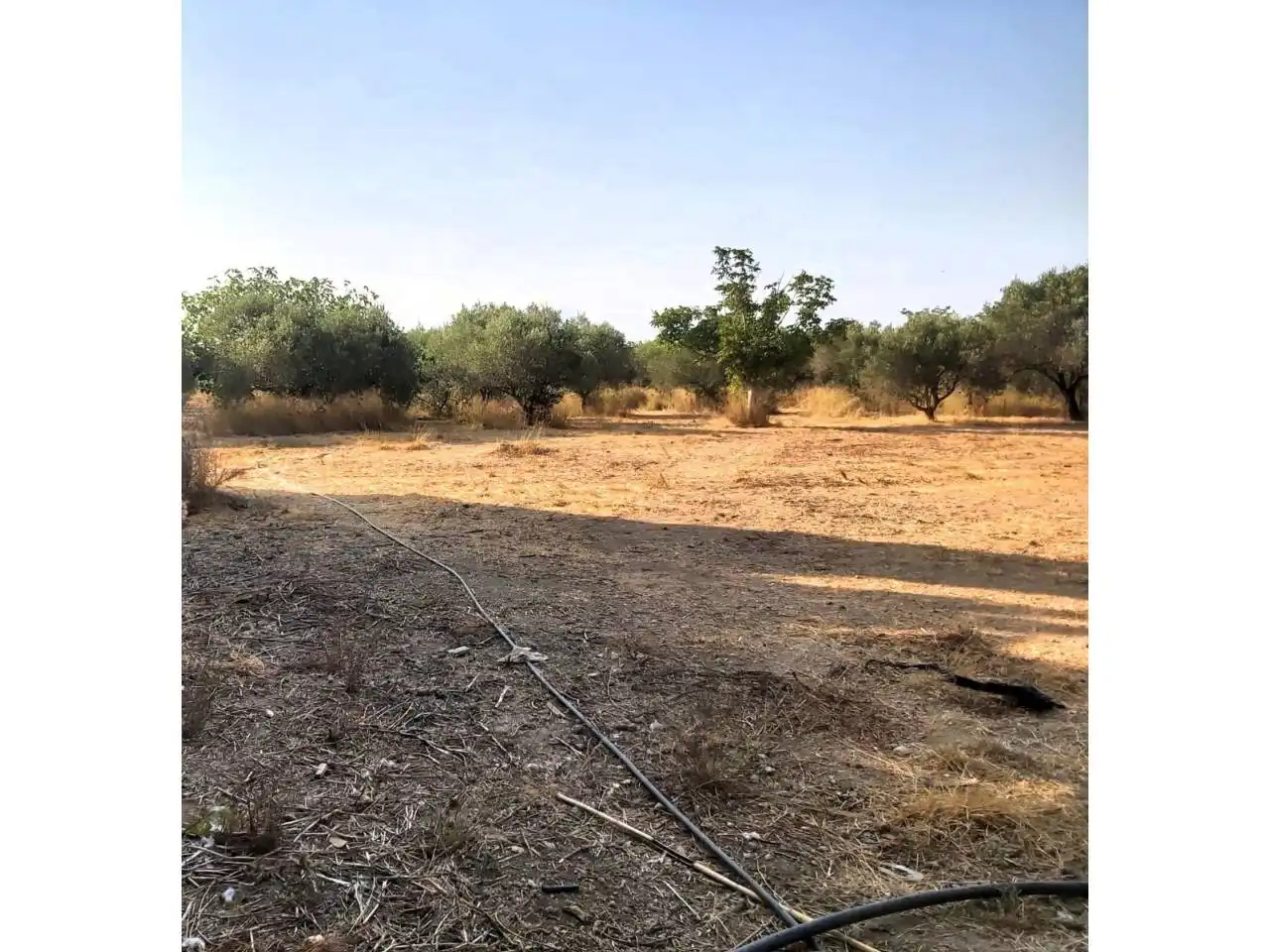 Finca rústica en venta en Valls
