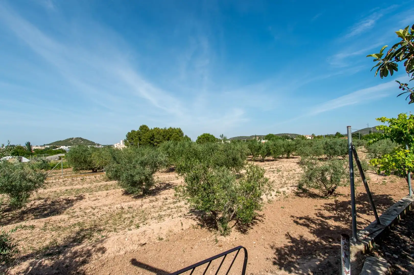 Casa o xalet en venda en Cehegín amb Piscina i Moblat