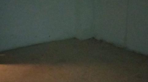 Foto 2 de Traster en venda a Av de Los Turistas, Guadalobón, Málaga