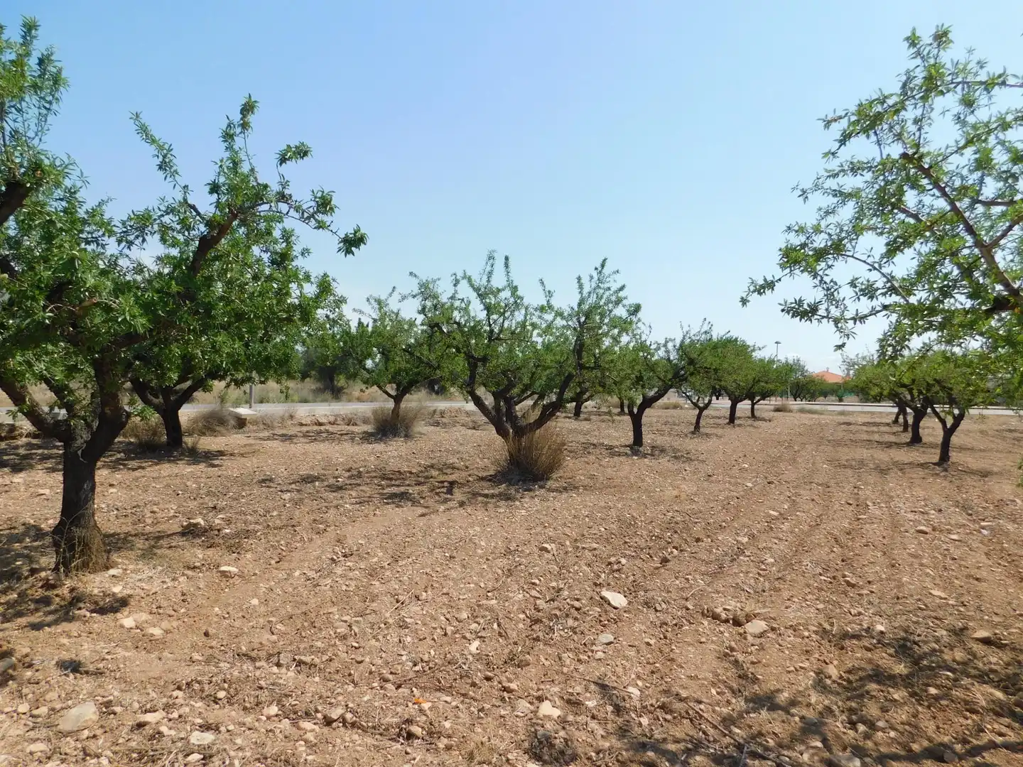 Residential land for sale in Carretera Carretera Llano de Béjar 5, imagen 10