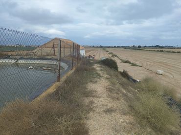 Terreny rústic en venda a Carretera Sucina 44