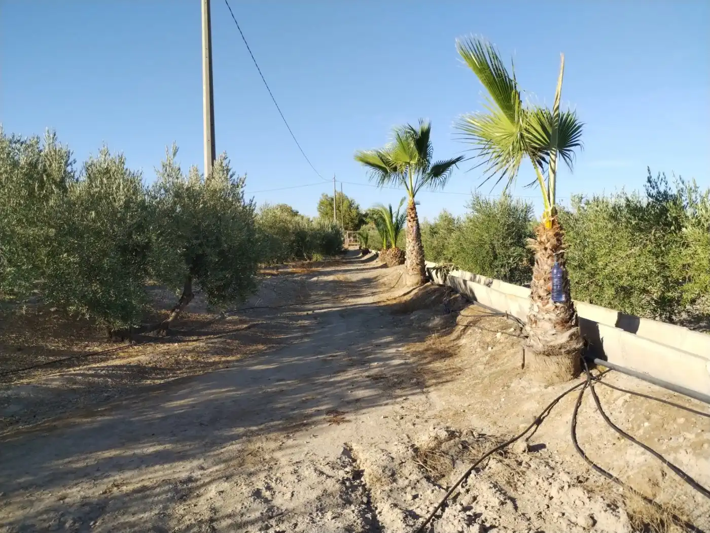 Terreny rústic en venda a Puerto Lumbreras, imagen 10