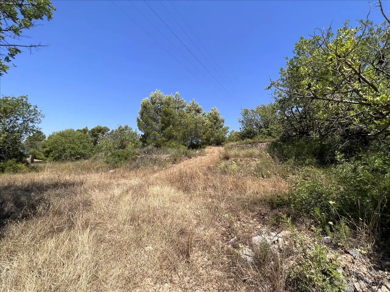 Residential land for sale in Proc. Simplificado, imagen 7