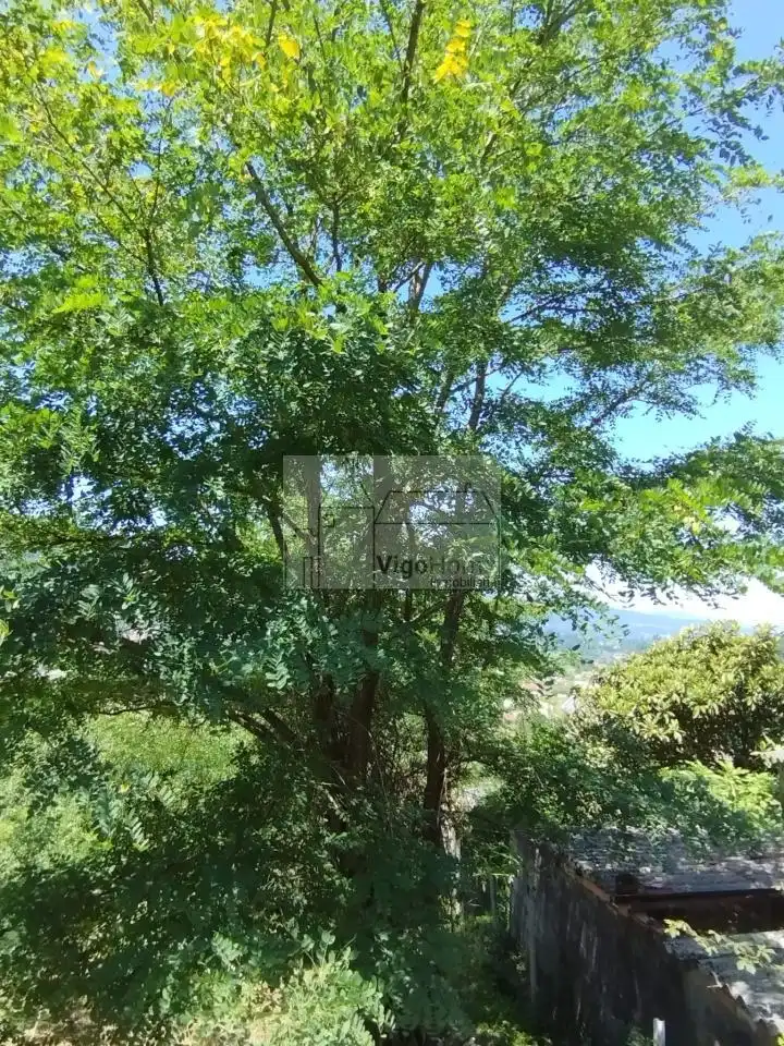Terreny rústic en venda a LUGAR OS VALOS . SAN ROMAN DE SAXAMONDE, imagen 30