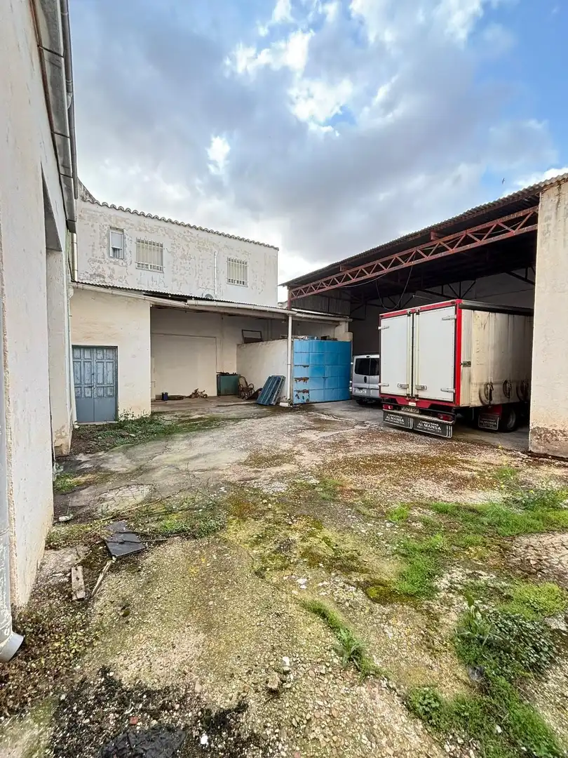 Maison avec jardin à vendre à Valdepeñas, imagen 70