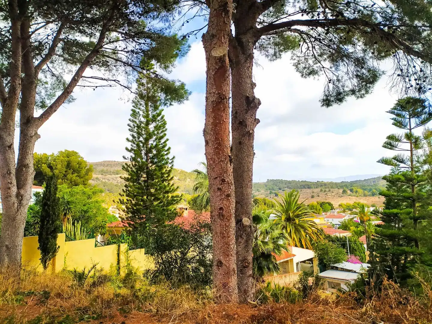 Wohnbaugrundstück zum Verkauf in Escandinavia - Cautivador, imagen 2
