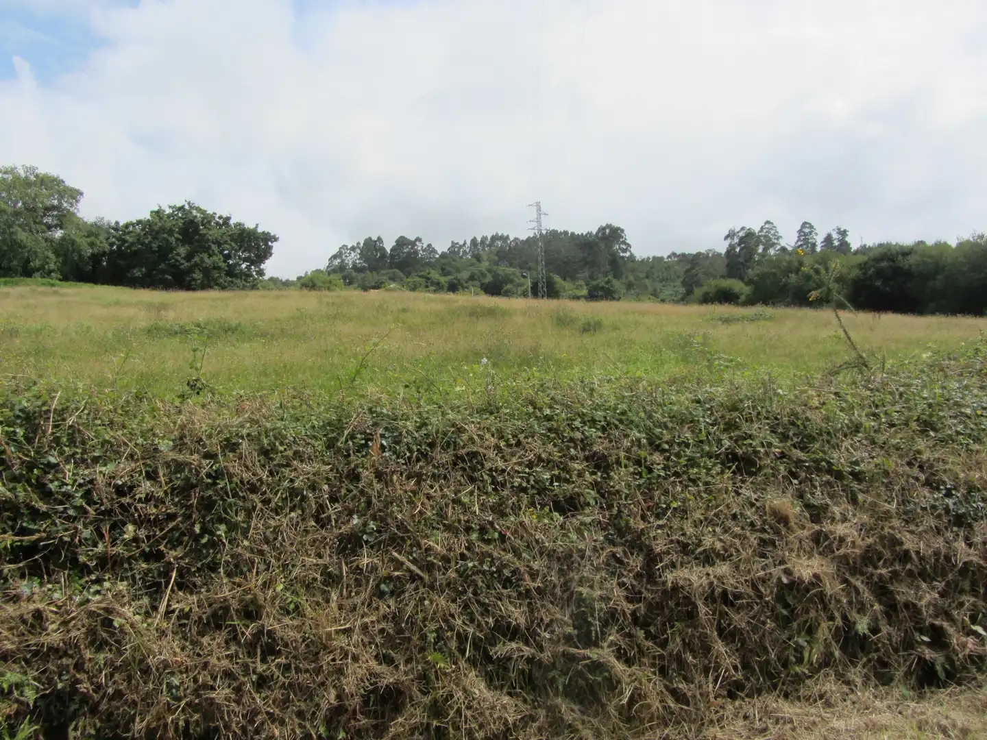 Terreny residencial en venda a Camin de los Payares, imagen 20