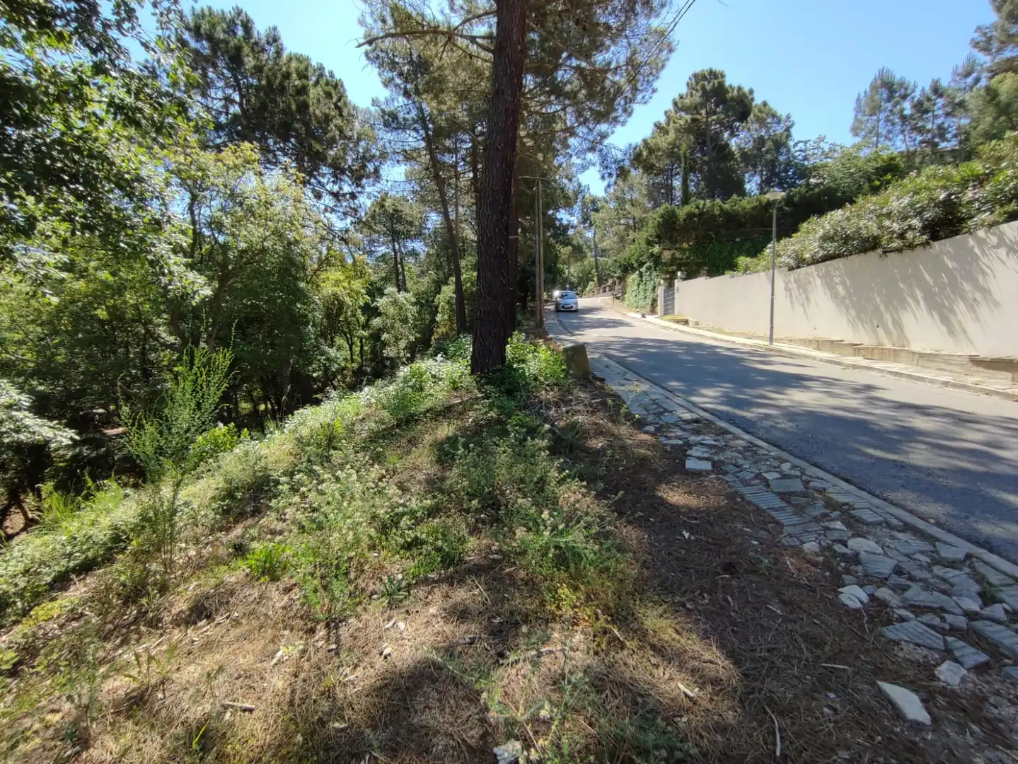Terreny residencial en venda a Carrer les Mimoses, imagen 6