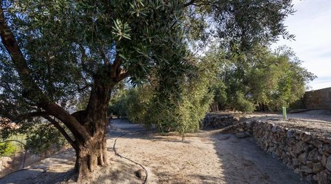 Finca rústica en venta en Pinos del Valle Valle de Lecrín