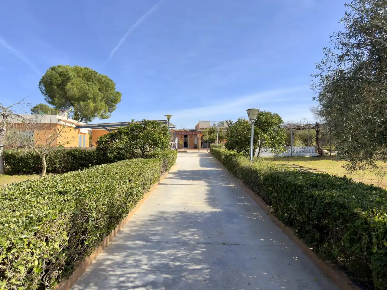 Garden of Country homes for sale in Alcalá de Guadaira