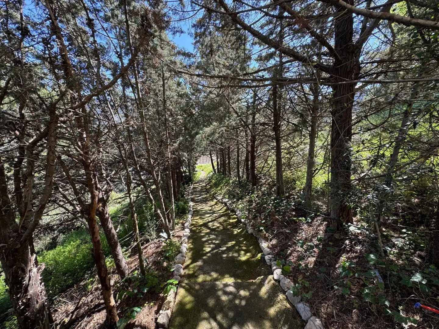 Vista exterior de Casa o chalet en venta en Ardales con Jardín privado y Terraza