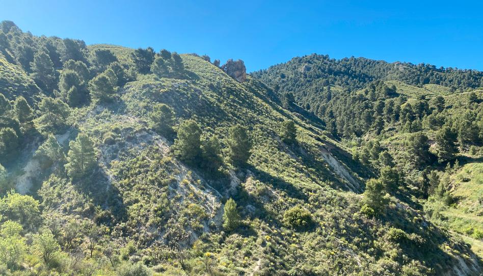 Photo 1 of Residential for sale in 79. Parcela, Puntarrón, Murcia