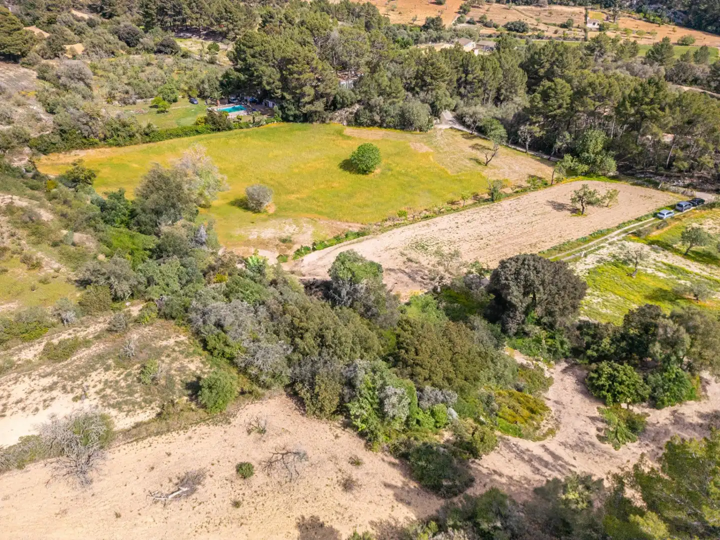 Terreno rustico in vendita a Llucmajor pueblo, imagen 9