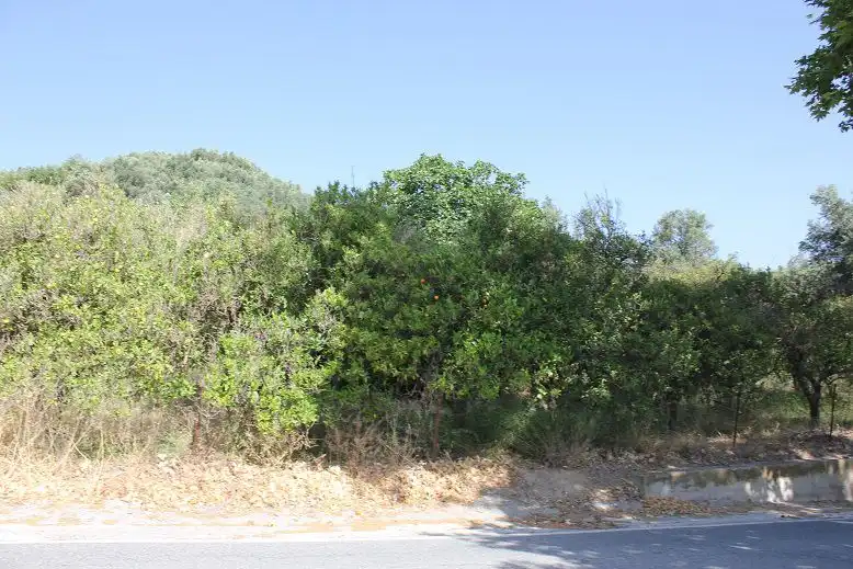 Terreni e lotti in vendita a Andalucía, imagen 2