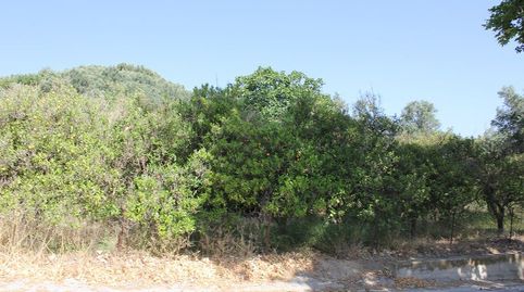 Terreno en venta en Restábal., imatge 2