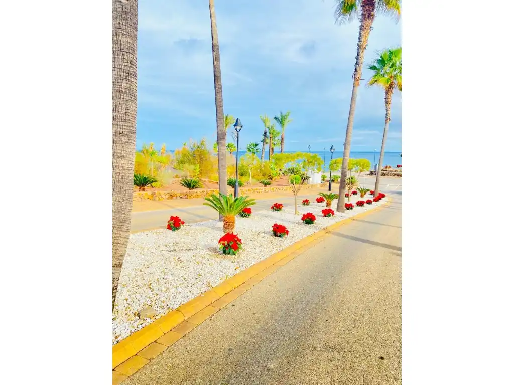 Vista exterior de Apartamento en venta en Mojácar