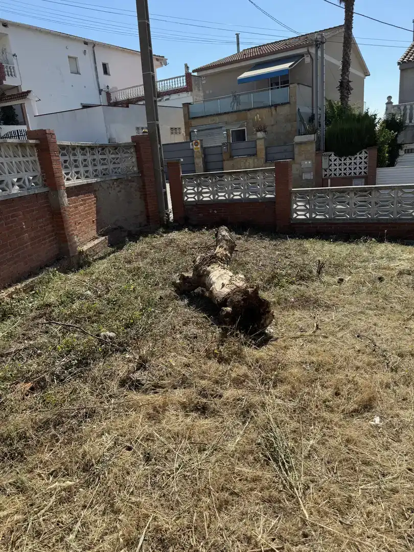 Jardín de Casa o chalet en venta en Polinyà con Jardín privado