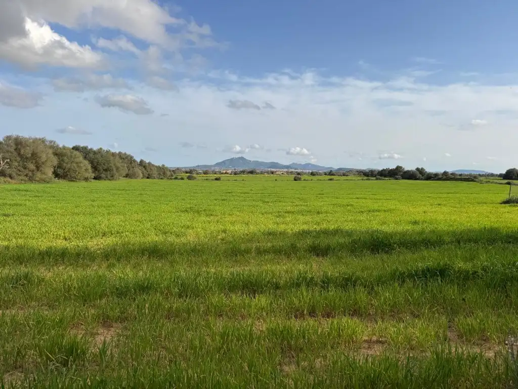 Residential land for sale in S'Horta - Cas Concos des Cavaller - Es Carritxó, imagen 2