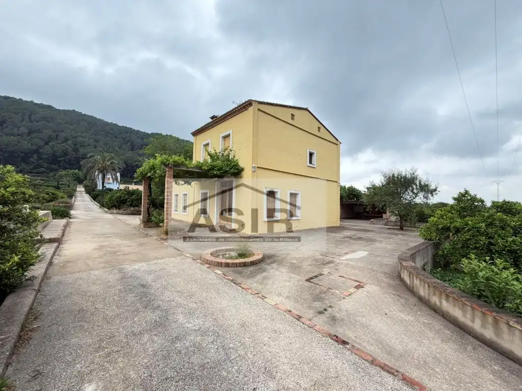 Exterior view of Houses for rent in Alzira  with Terrace and Swimming Pool